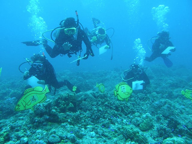 Fish And Coral Monitoring Techniques Training